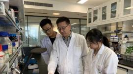 發(fā)現(xiàn)新蛋白！我省一研究成果首次入選“中國高等學(xué)校...