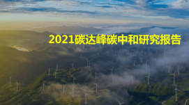 教育部關(guān)于印發(fā)《加強碳達(dá)峰碳中和高等教育 人才培...