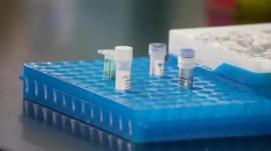 提高育種效率 西南大學(xué)研制出首款油菜液相育種芯片