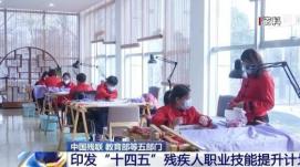 七部門聯(lián)合推動殘疾人中等職業(yè)教育高質(zhì)量發(fā)展